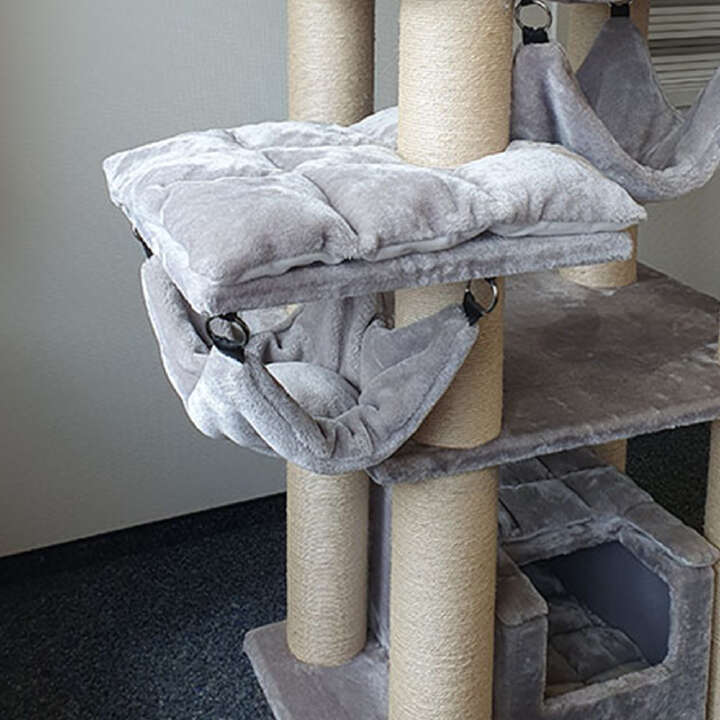 Nobby Kratzbaum Rubi